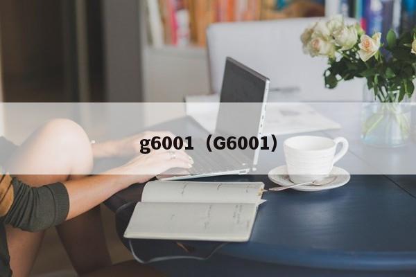 g6001（G6001）