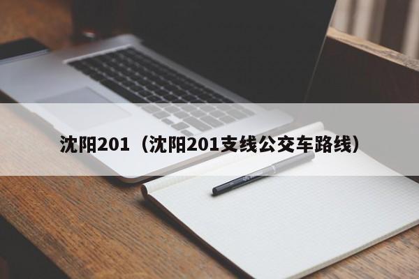 沈阳201（沈阳201支线公交车路线）