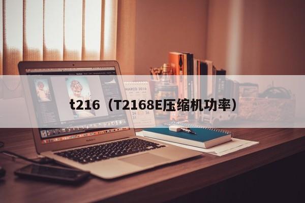 t216（T2168E压缩机功率）
